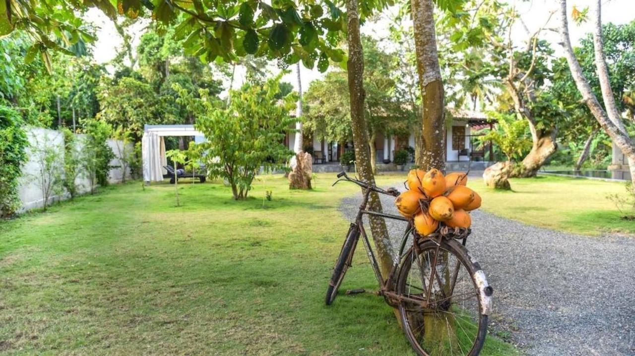 Antique Ceylon Villa Ahangama Exterior photo